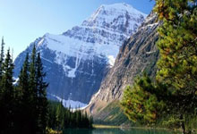 奥运冠军焦刘洋近况:32岁任中山大学副教授,嫁外籍老公三年抱俩.