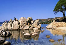 贝博体育:积极贯彻新发展理念 统筹推进体育事业高质量发展——国新办“推动高质量发展”系列主题新闻发布会聚焦体育事业.